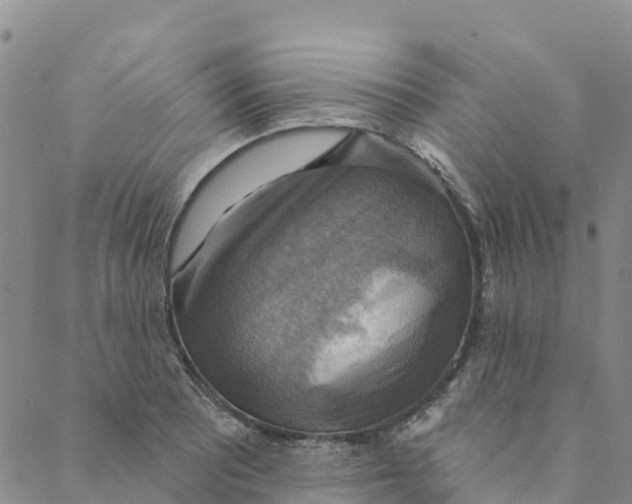 X0000088391081200706121204