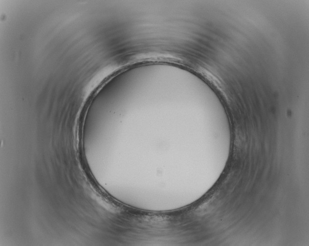 X0000088391082200706121204