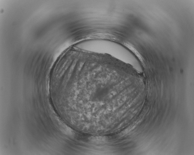 X0000088391083200706121204