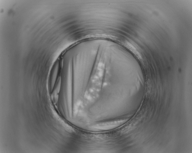 X0000088391084200706121204