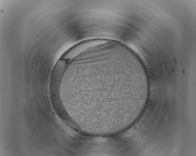 X0000088391085200706121204