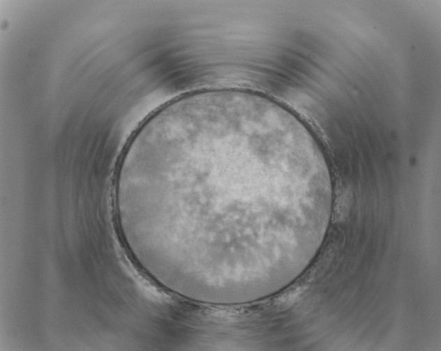 X0000088391086200706121204