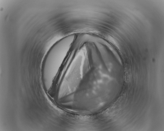 X0000088391087200706121204