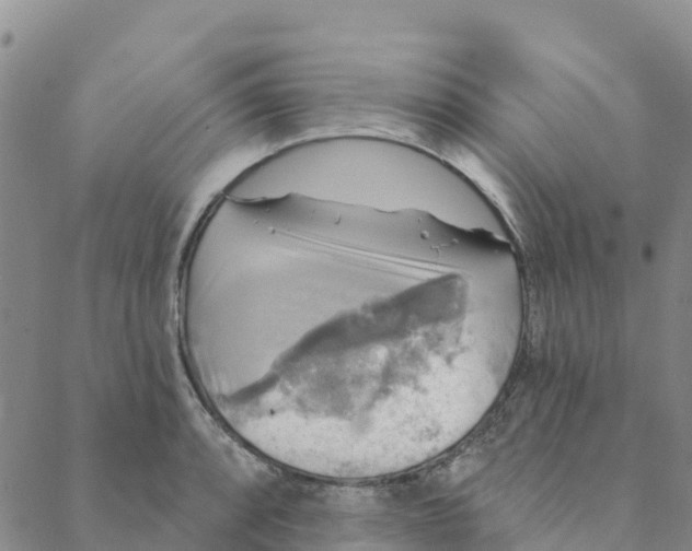 X0000088391088200706121204