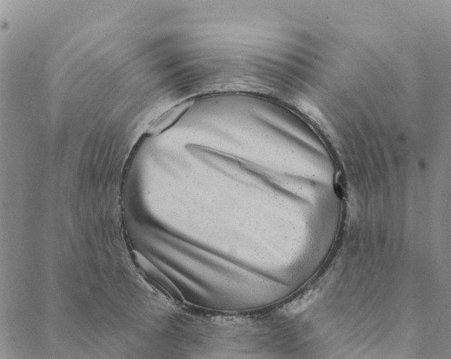 X0000088391089200706121204