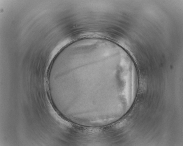 X0000088391090200706121204