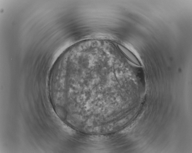 X0000088391091200706121204