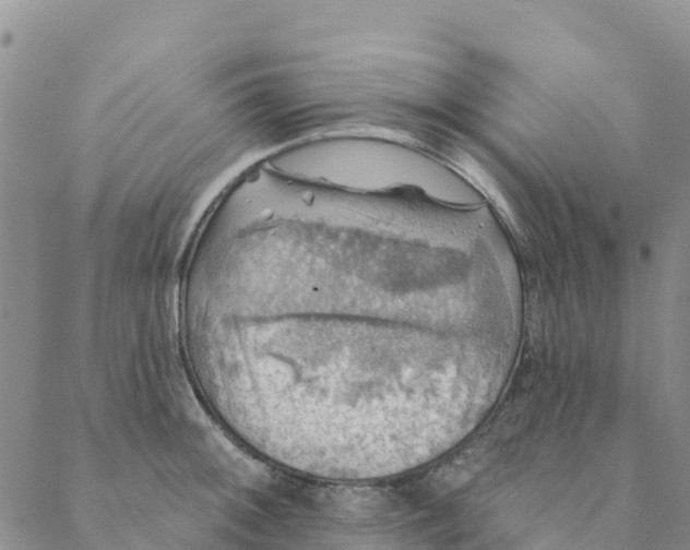 X0000088391092200706121204