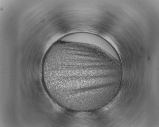 X0000088391093200706121204