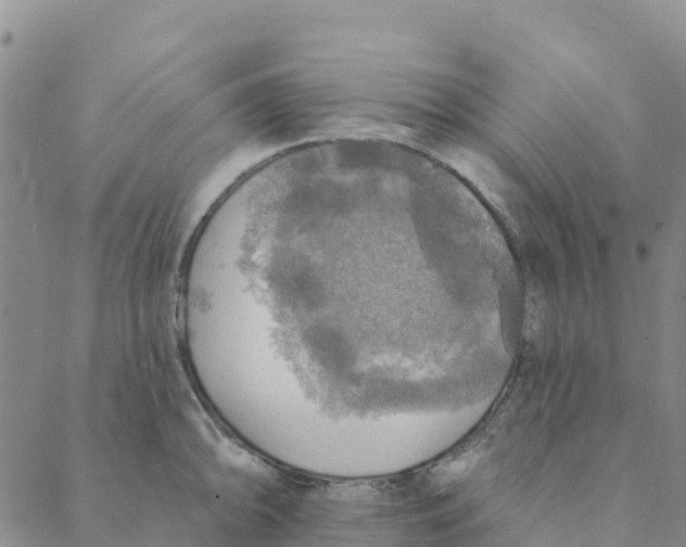 X0000088391094200706121204