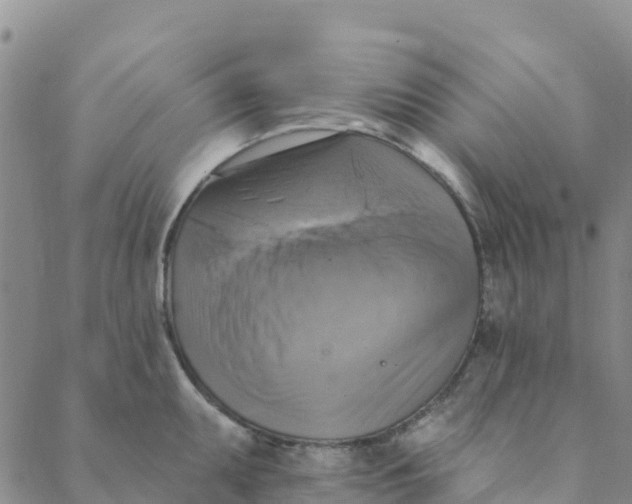 X0000088391095200706121204