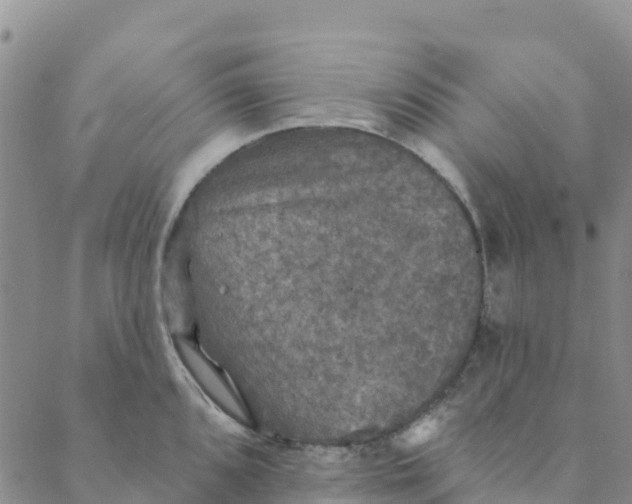 X0000088391096200706121204