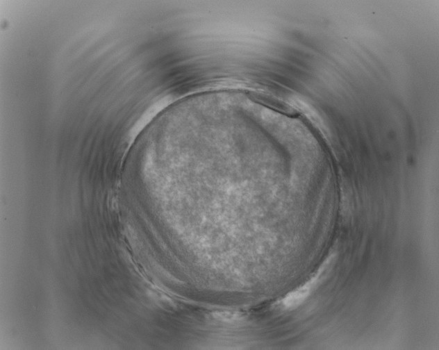 X0000088391097200706121204