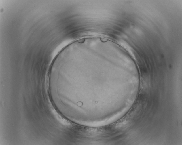 X0000088391098200706121204