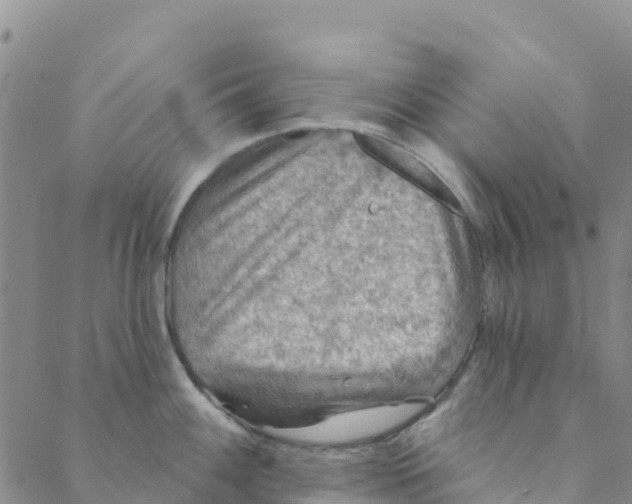 X0000088391100200706121204