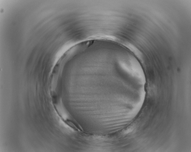 X0000088391102200706121204