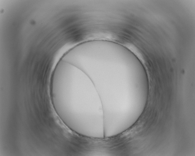 X0000088391104200706121204