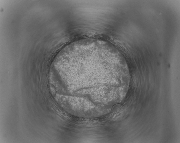 X0000088391105200706121203