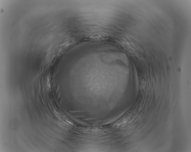 X0000088391106200706121203