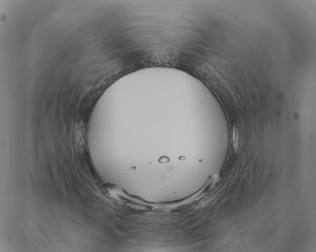 X0000088391107200706121203