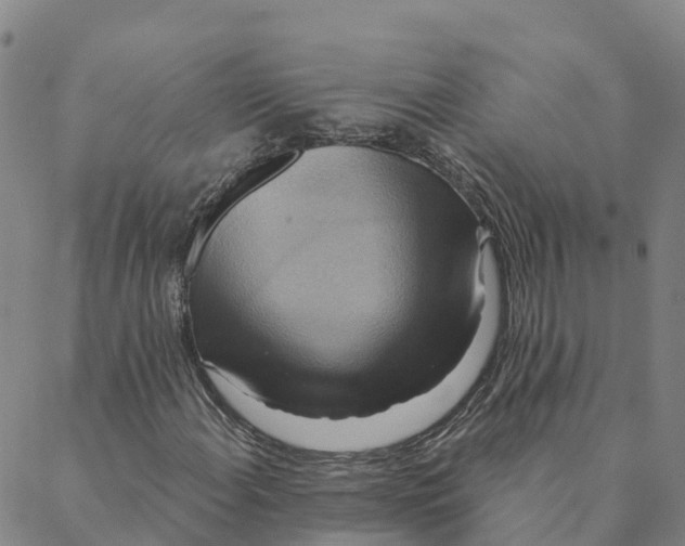 X0000088391108200706121203