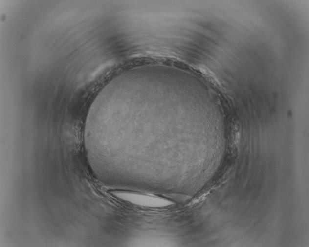 X0000088391110200706121203