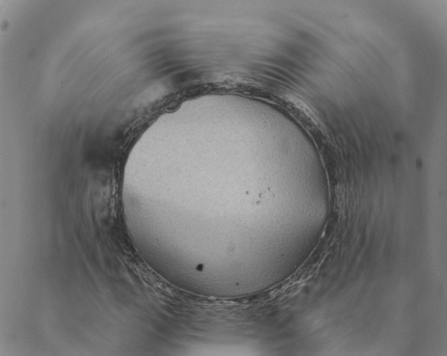 X0000088391111200706121203