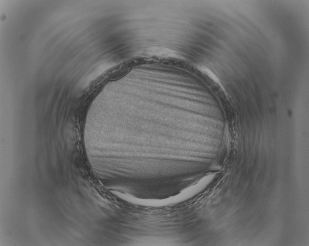 X0000088391112200706121203