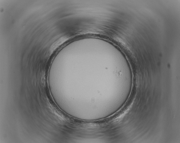 X0000088391113200706121203