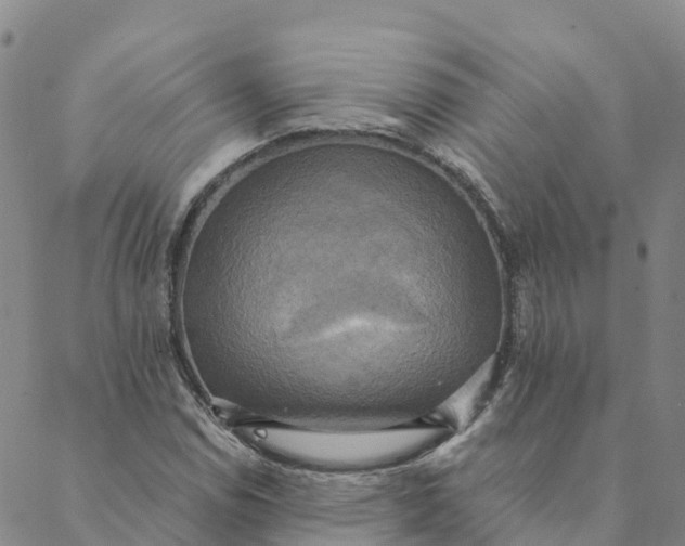 X0000088391114200706121203