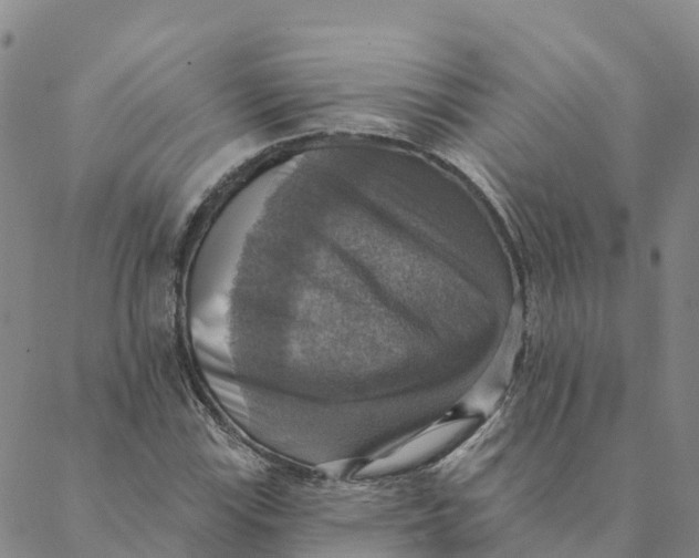 X0000088391115200706121203