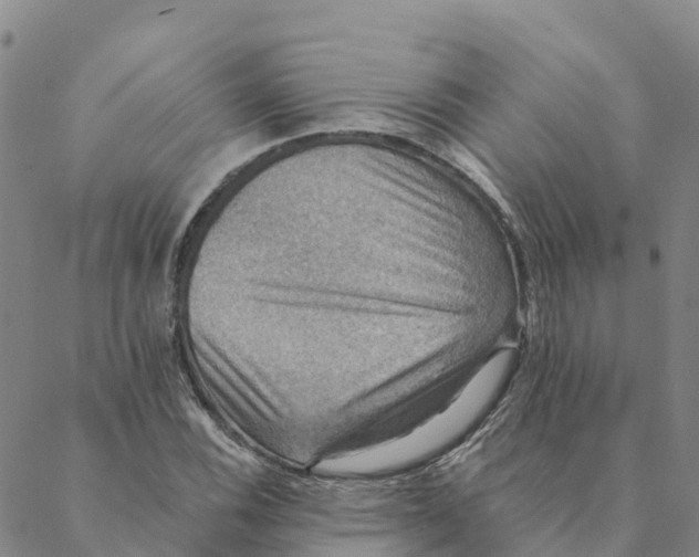 X0000088391116200706121203