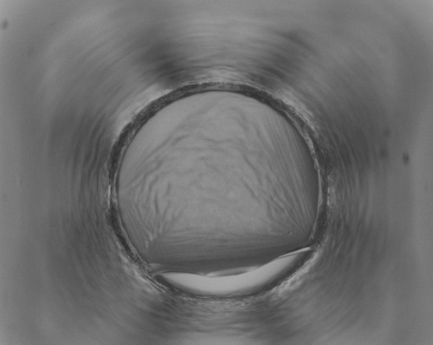 X0000088391117200706121203