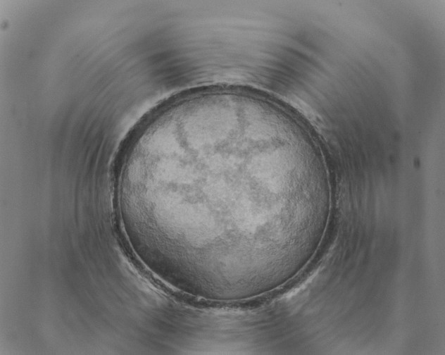 X0000088391118200706121203