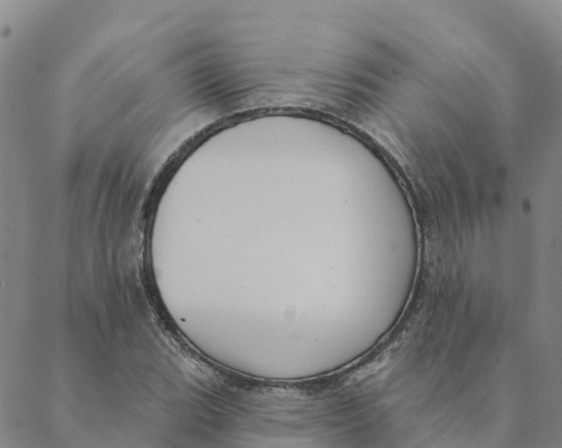 X0000088391119200706121203