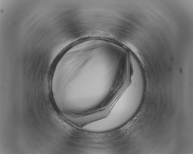 X0000088391120200706121203