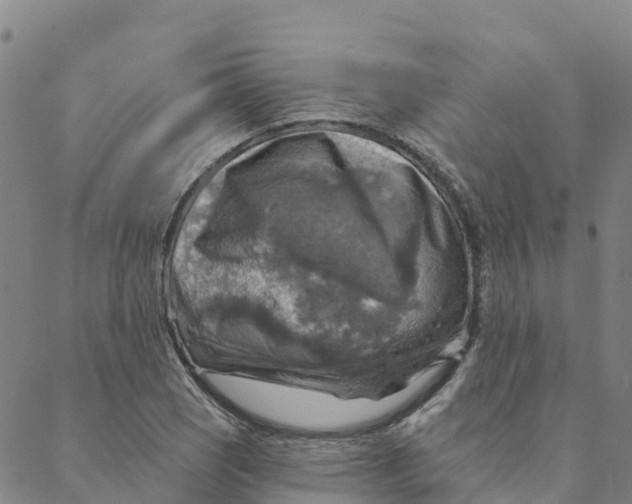 X0000088391121200706121203