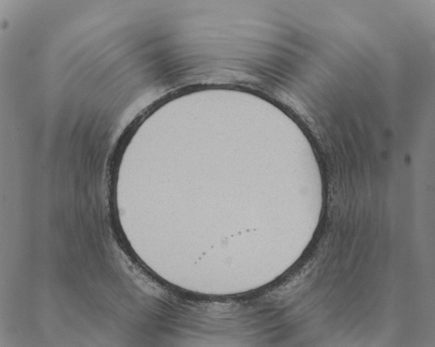 X0000088391122200706121203