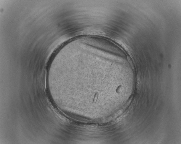 X0000088391123200706121203