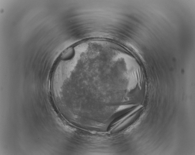 X0000088391125200706121203