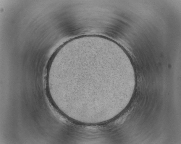 X0000088391126200706121203