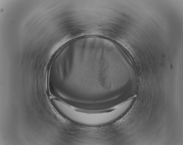 X0000088391127200706121203