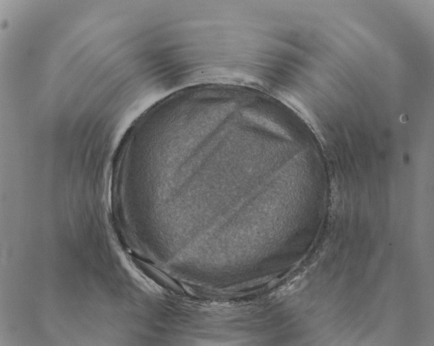 X0000088391128200706121203