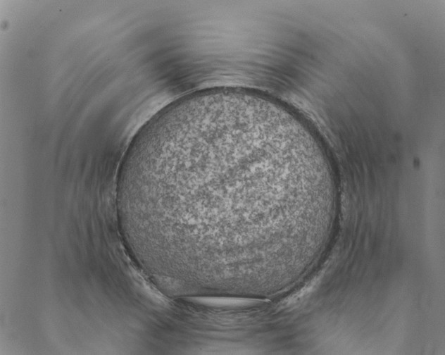 X0000088391129200706121203