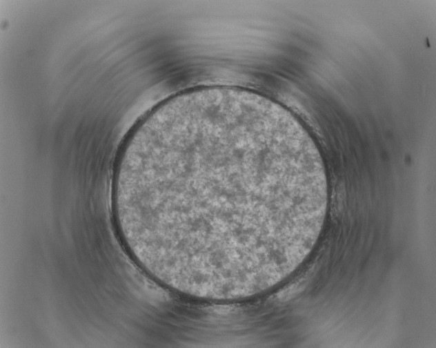 X0000088391130200706121203