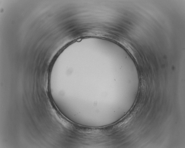 X0000088391131200706121203