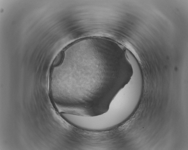 X0000088391132200706121203