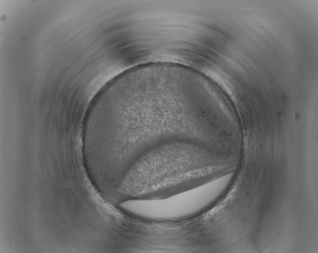 X0000088391133200706121203