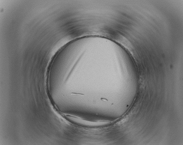 X0000088391135200706121203