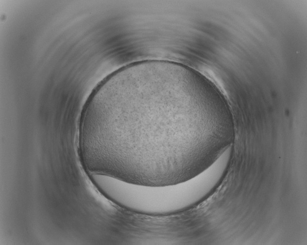 X0000088391136200706121203